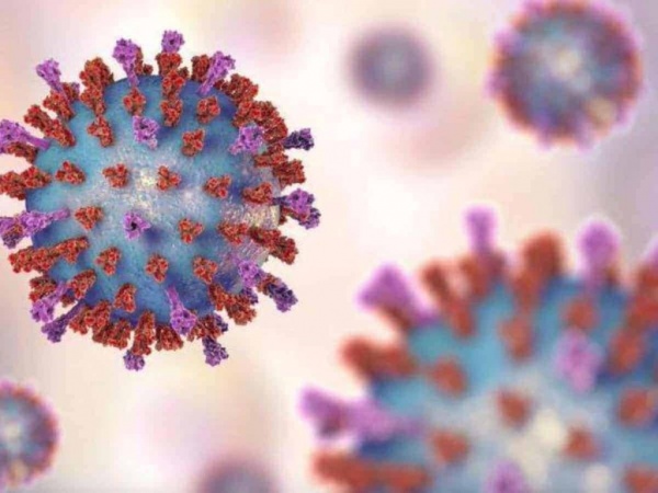 картинка Ситуация по коронавирусу в Крыму на портале Лето Навсегда